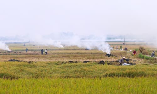 Giá đất nông nghiệp cao nhất tại Hà Nội dự kiến vẫn 290.000 đồng một m2