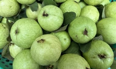 7 loại quả ngọt người tiểu đường có thể ăn hàng tuần